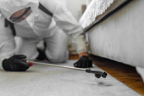 Professional Bed Bug Control technician working in North Chicago, IL