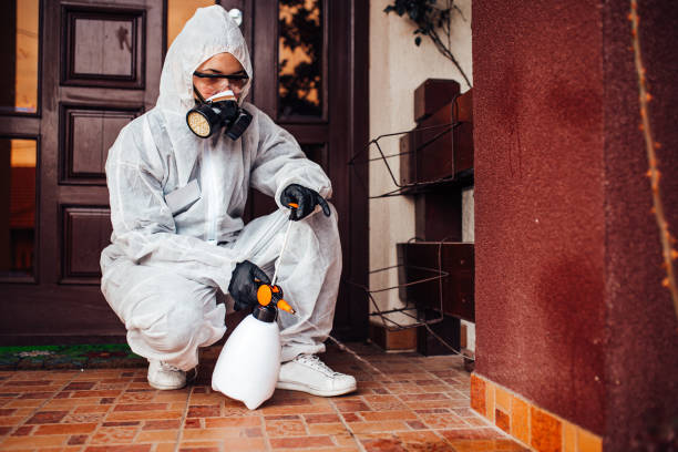 Reliable Bed Bug Control contractor in North Chicago, IL by Nex Pest Control